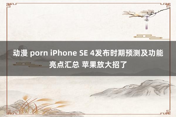 动漫 porn iPhone SE 4发布时期预测及功能亮点汇总 苹果放大招了