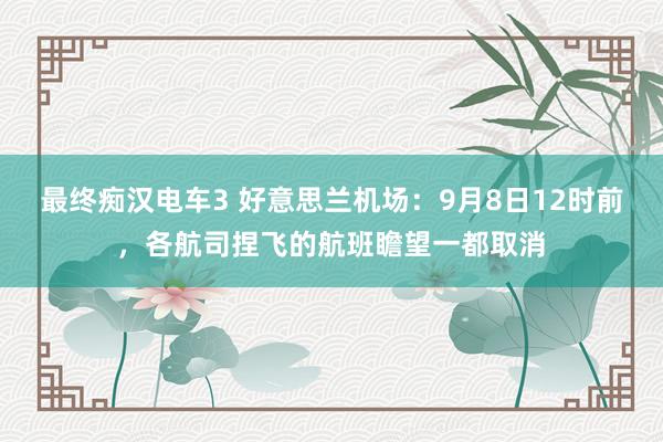 最终痴汉电车3 好意思兰机场：9月8日12时前，各航司捏飞的航班瞻望一都取消