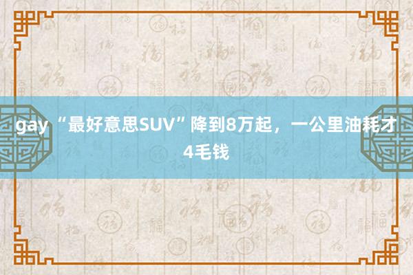 gay “最好意思SUV”降到8万起，一公里油耗才4毛钱