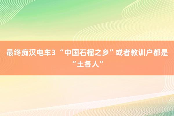 最终痴汉电车3 “中国石榴之乡”或者教训户都是“土各人”