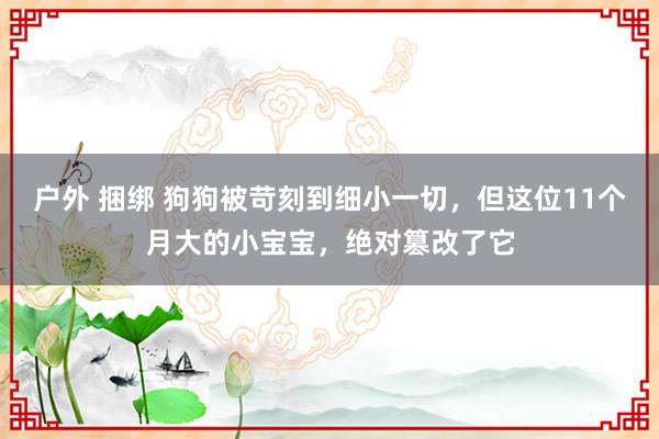 户外 捆绑 狗狗被苛刻到细小一切，但这位11个月大的小宝宝，绝对篡改了它