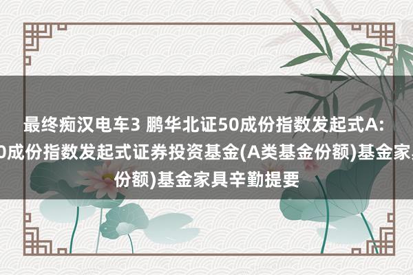 最终痴汉电车3 鹏华北证50成份指数发起式A: 鹏华北证50成份指数发起式证券投资基金(A类基金份额)基金家具辛勤提要