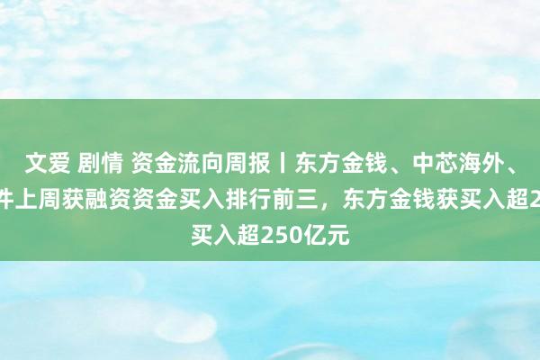 文爱 剧情 资金流向周报丨东方金钱、中芯海外、润和软件上周获融资资金买入排行前三，东方金钱获买入超250亿元