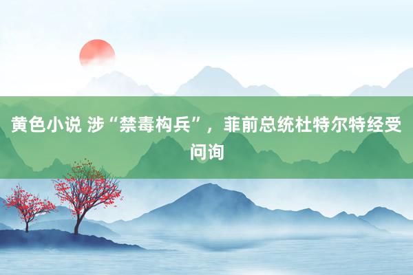 黄色小说 涉“禁毒构兵”，菲前总统杜特尔特经受问询