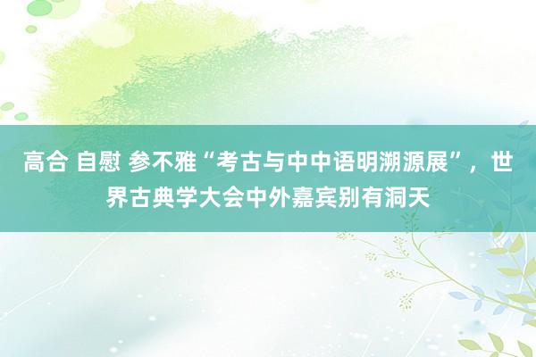 高合 自慰 参不雅“考古与中中语明溯源展”，世界古典学大会中外嘉宾别有洞天