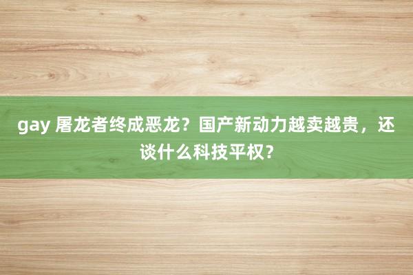 gay 屠龙者终成恶龙？国产新动力越卖越贵，还谈什么科技平权？