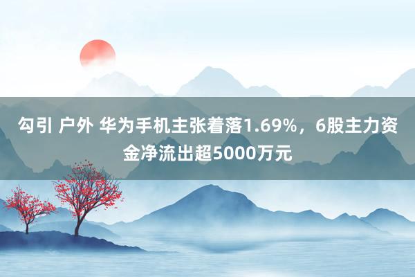 勾引 户外 华为手机主张着落1.69%，6股主力资金净流出超5000万元