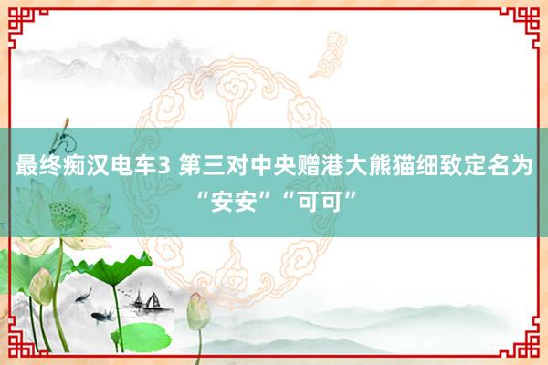 最终痴汉电车3 第三对中央赠港大熊猫细致定名为“安安”“可可”