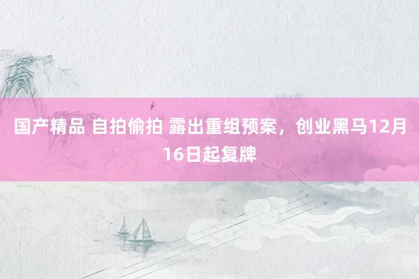 国产精品 自拍偷拍 露出重组预案，创业黑马12月16日起复牌