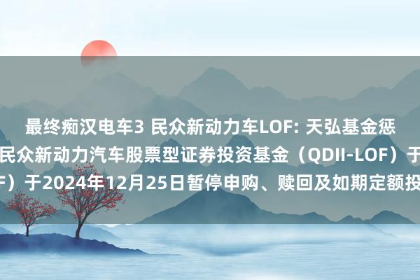 最终痴汉电车3 民众新动力车LOF: 天弘基金惩办有限公司对于天弘民众新动力汽车股票型证券投资基金（QDII-LOF）于2024年12月25日暂停申购、赎回及如期定额投资业务的公告