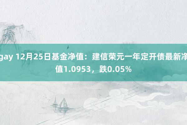 gay 12月25日基金净值：建信荣元一年定开债最新净值1.0953，跌0.05%