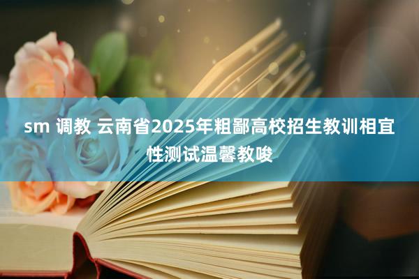 sm 调教 云南省2025年粗鄙高校招生教训相宜性测试温馨教唆