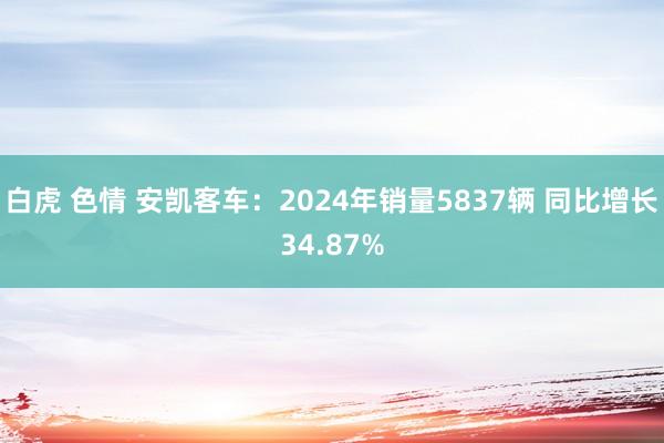 白虎 色情 安凯客车：2024年销量5837辆 同比增长34.87%