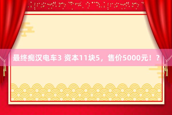 最终痴汉电车3 资本11块5，售价5000元！？